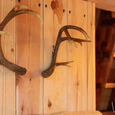 Les Du Beau Vallon * Profondeville