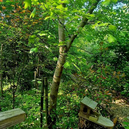 Les Du Beau Vallon Horská chata Profondeville
