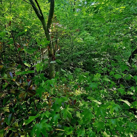 Les Du Beau Vallon *