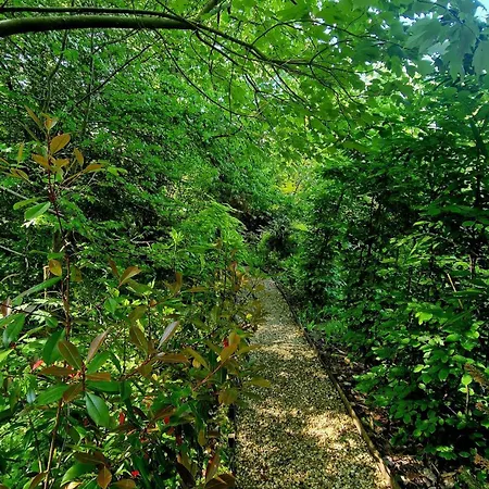 Les Du Beau Vallon Profondeville