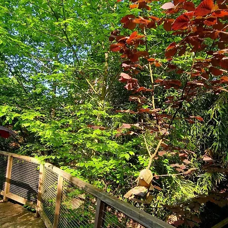 Les Du Beau Vallon Profondeville