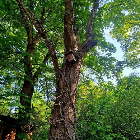 Les Du Beau Vallon Chalet *